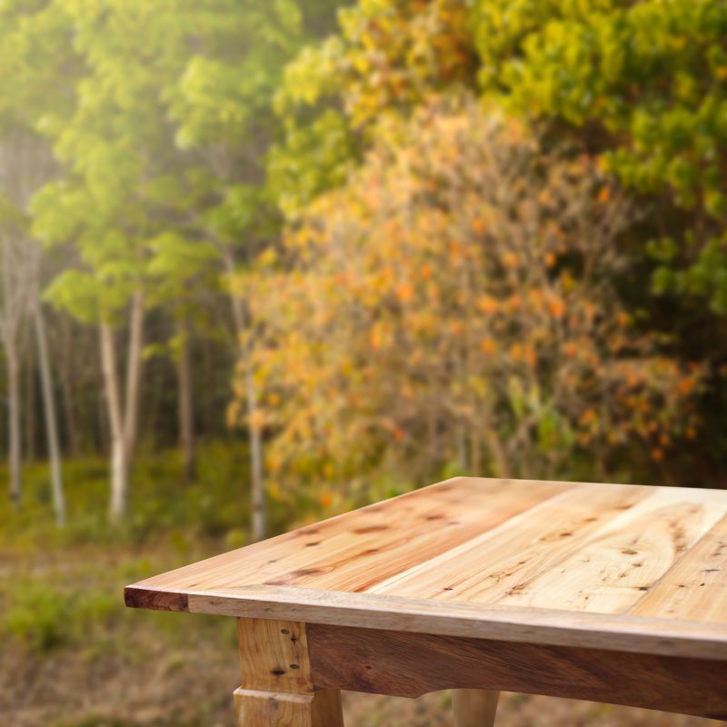Kitchen Table Repair